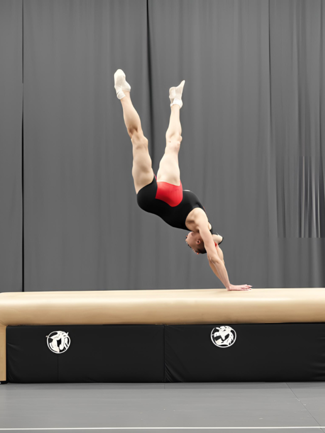 What is Pommel Horse?